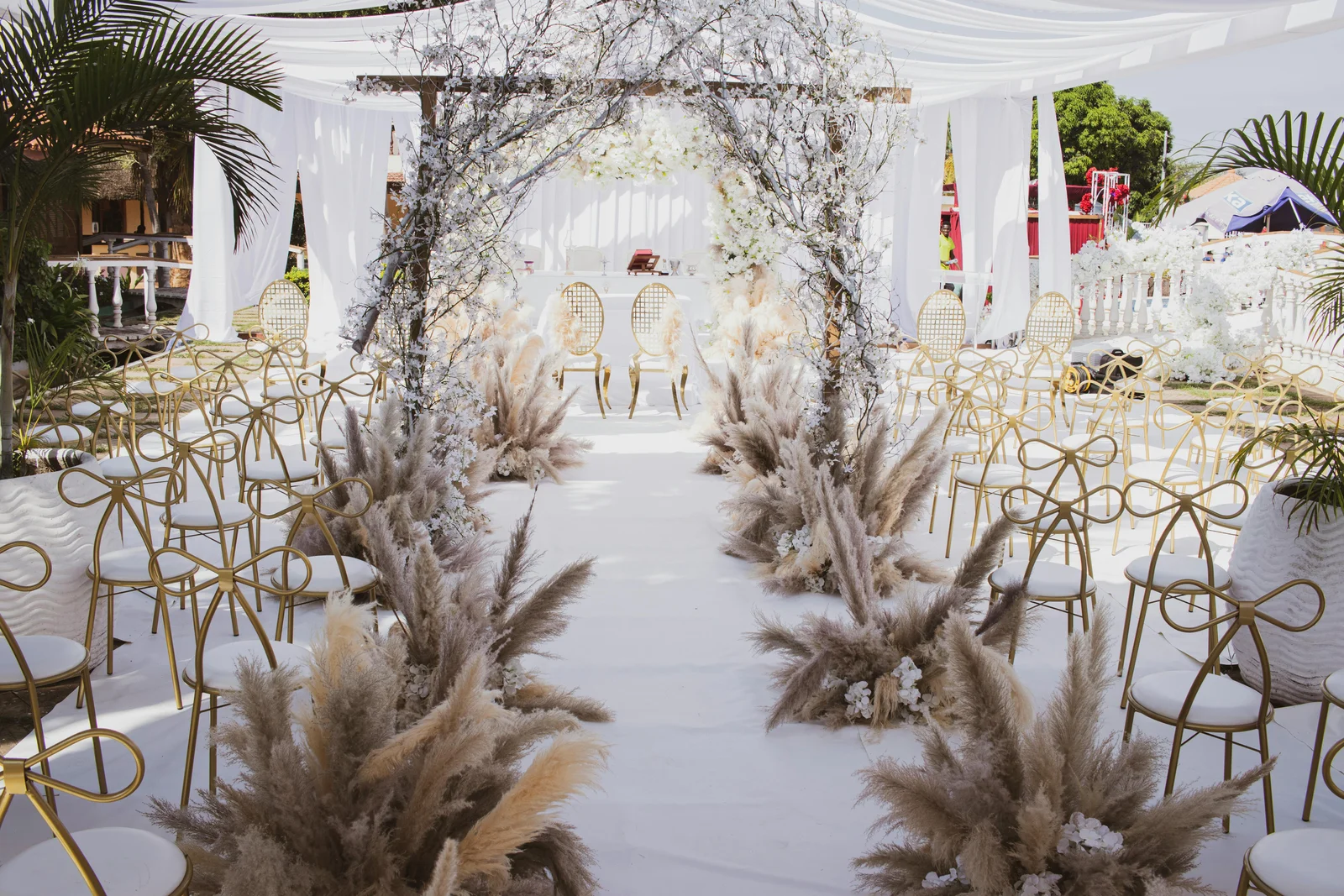 Wedding Transportation